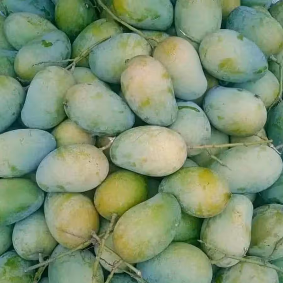আম্রপালি