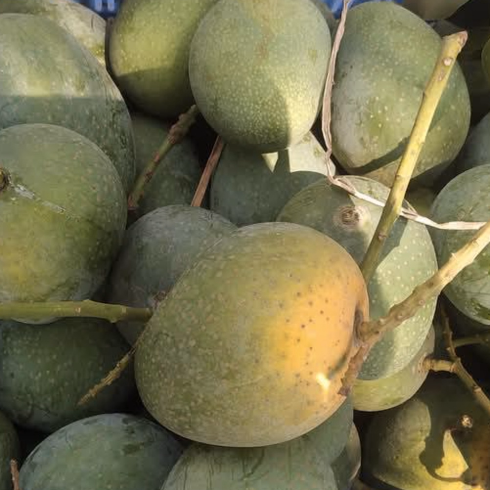 গোপালভোগ